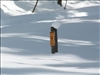 SWZ_Winter 2006 2 167